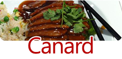 Canard